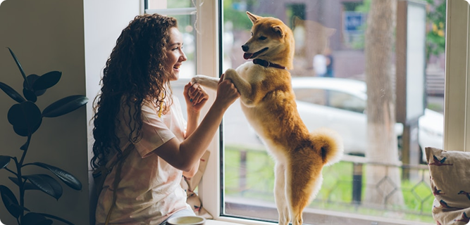 Pet Care 1